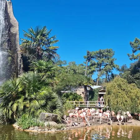 Charmante Maison Saujon